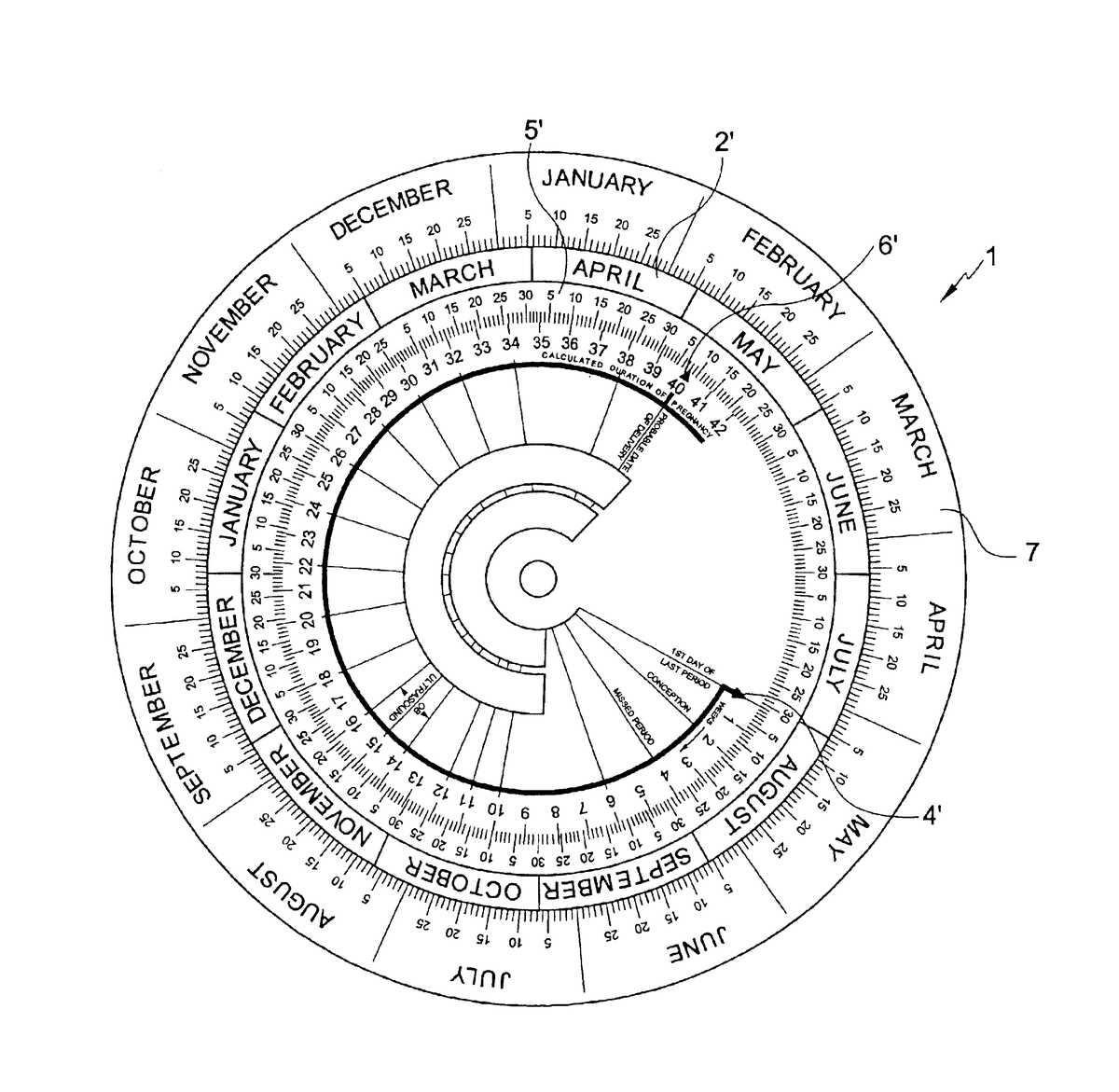 rotating wheel for weekly pregnancy calculation 